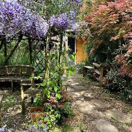 The Garden Room Ringwood Exterior foto